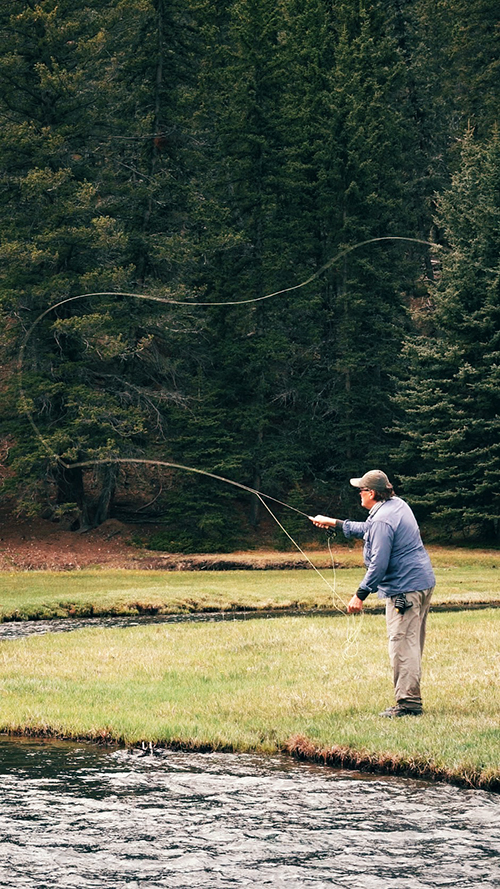 A man casts a fly fishing line from the grassy banks of an alpine stream.