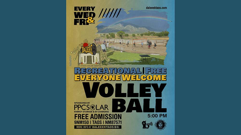 Free recreational volleyball at DALEEE
