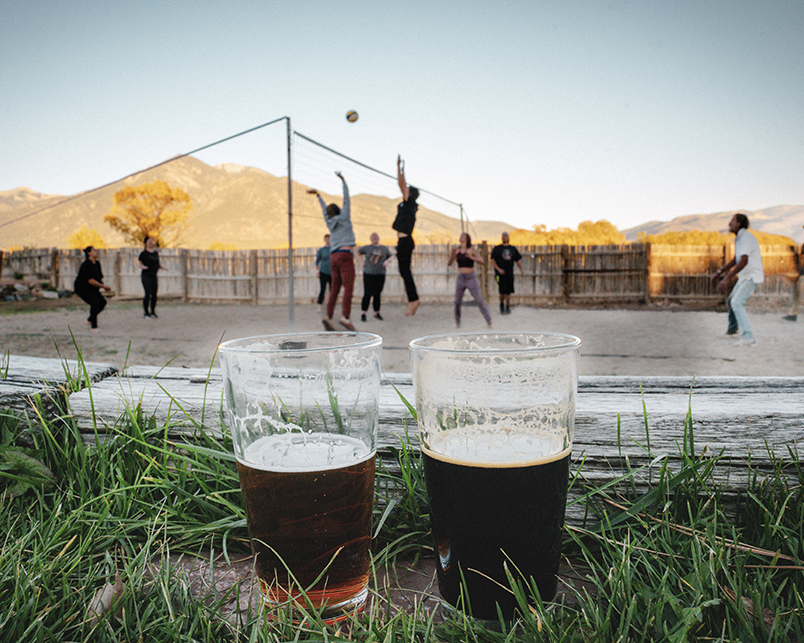 Two pints of beer sit foreground in the grass with an outdoor volleyball game in the background.