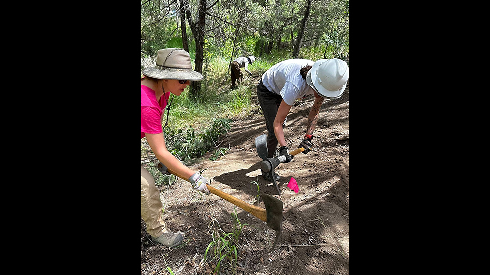 ECTA Trail Work Day