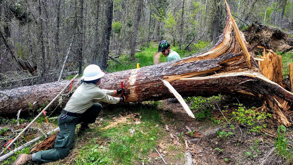 TMBA Trail Maintenance Day