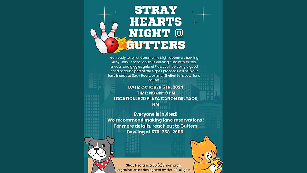 Stray Hearts Night at Gutters Bowling.