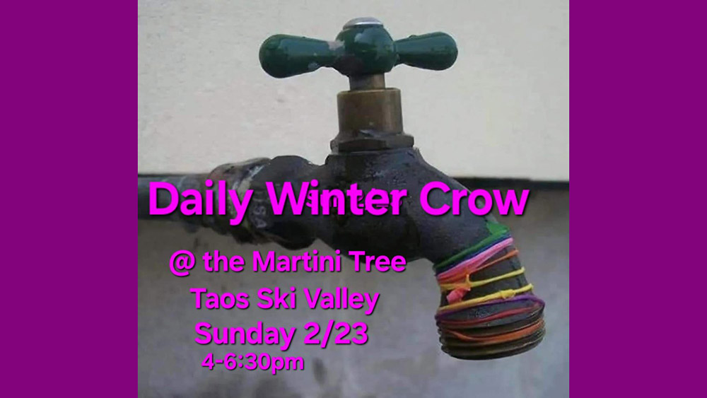 Daily Winter Crow at martini Tree Bar