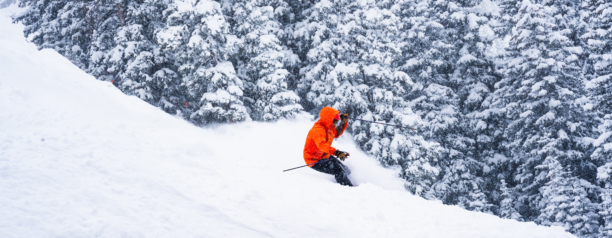 A solo skier wearing a cherry red jacket skis through deep powder.