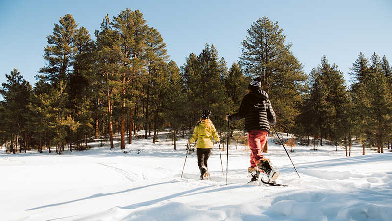 Two women snowshoe through a field surrounded by pine trees and blue sky.