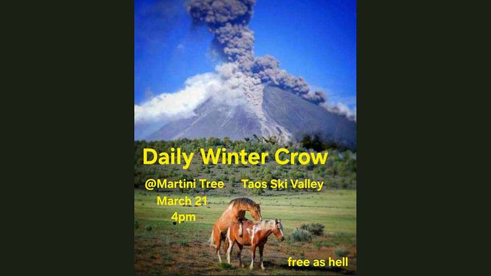 Daily Winter Crow at Martini Tree Bar