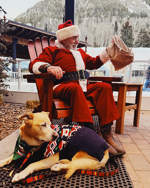 Santa sits outside in an Adirondack style chair with a dog in a sweater by his feet.