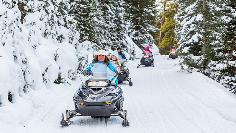 A snowmobile group rides down a snowy, tree-lined road.