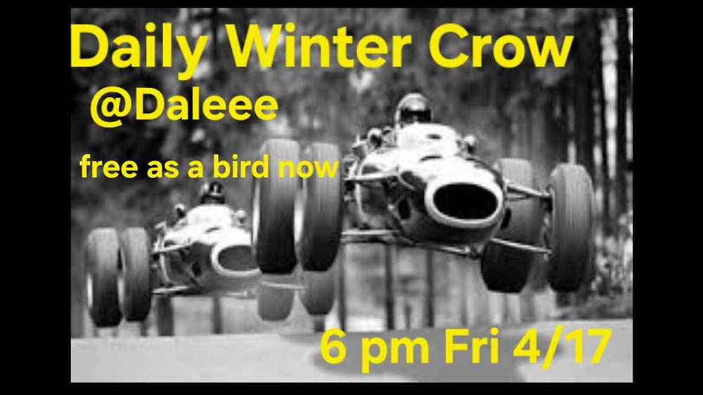 Daily Winter Crow at DALEEE KTAOS