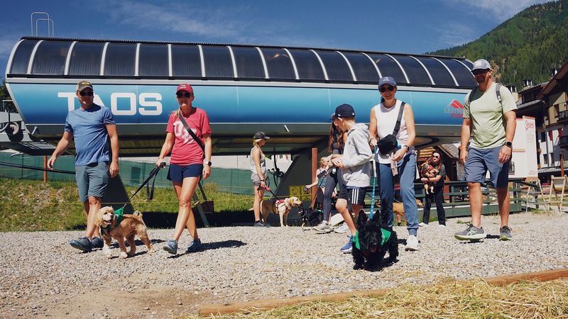 People walking with dogs