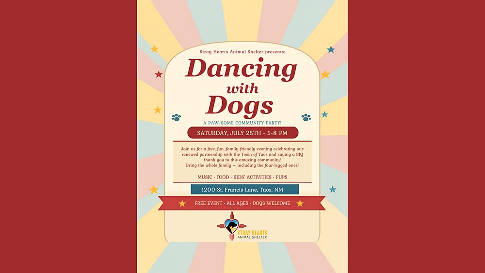 Dancing with the Dogs Community Celebration at Stray Hearts Animal Shelter.