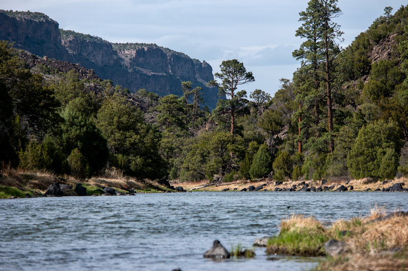 River with trees and mountains in background