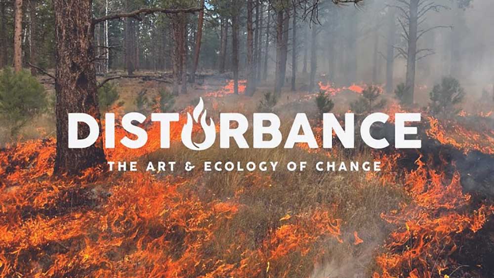 Disturbance: The Art and Ecology of Change