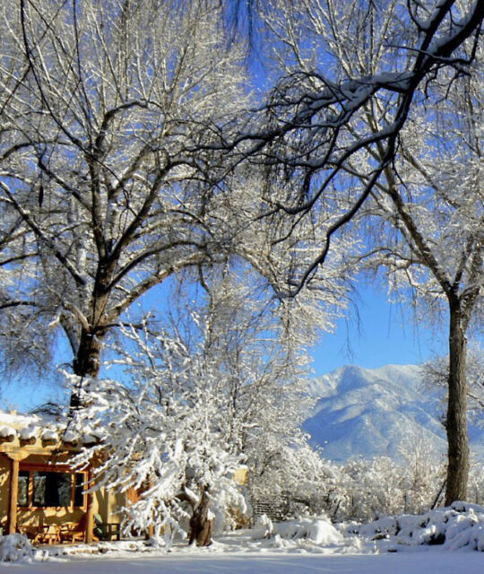 An adobe home sits beneath bare trees in the snow