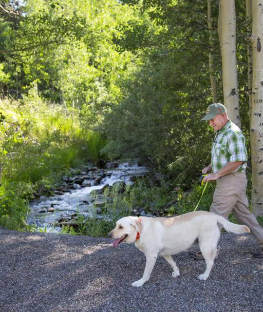 Man with dog on a hike in the forest