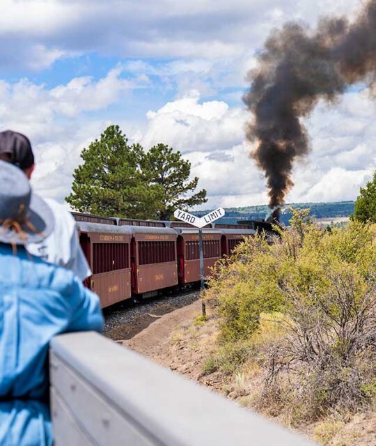 Passengers in an open car enjoying a historic steam train excursion.