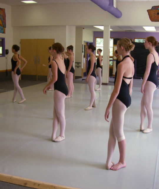 Students in a ballet intensive summer camp