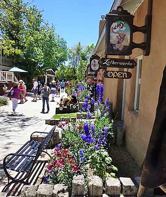 Flowers in an outdoor shopping mall in Taos, New Mexico