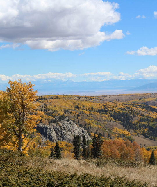 A fall landscape near Chama, New Mexico