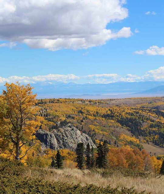 A fall landscape near Chama, New Mexico