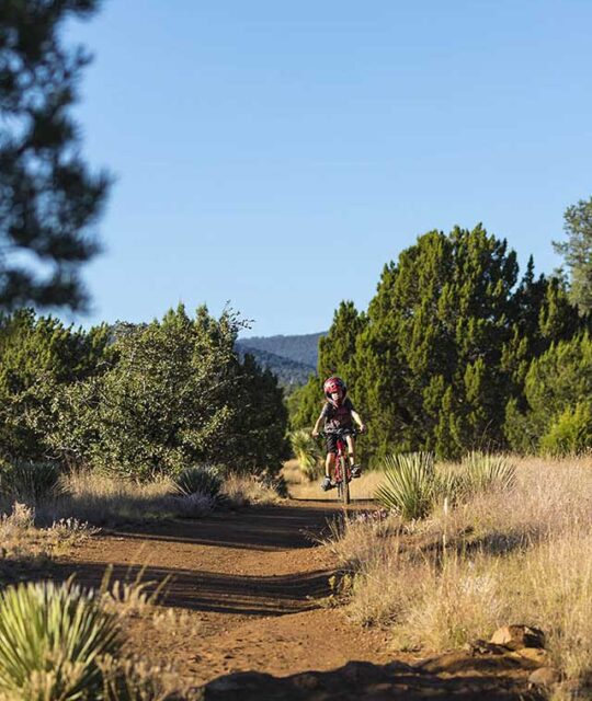 Young mountain bike rider on dirt trail near Taos, New Mexico