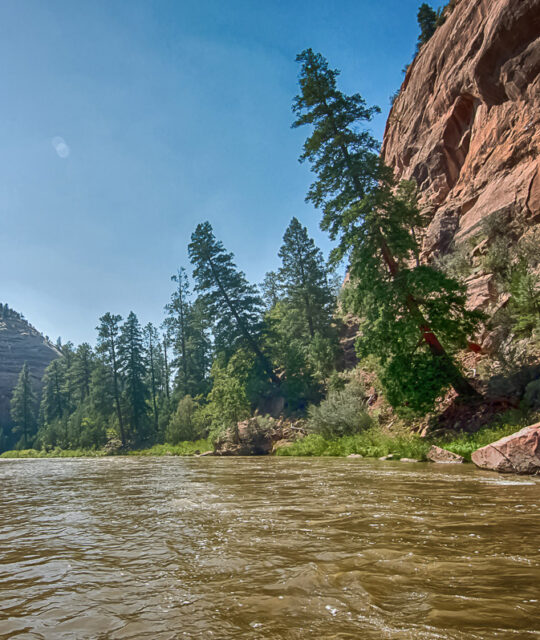 Rio Chama river, New Mexico