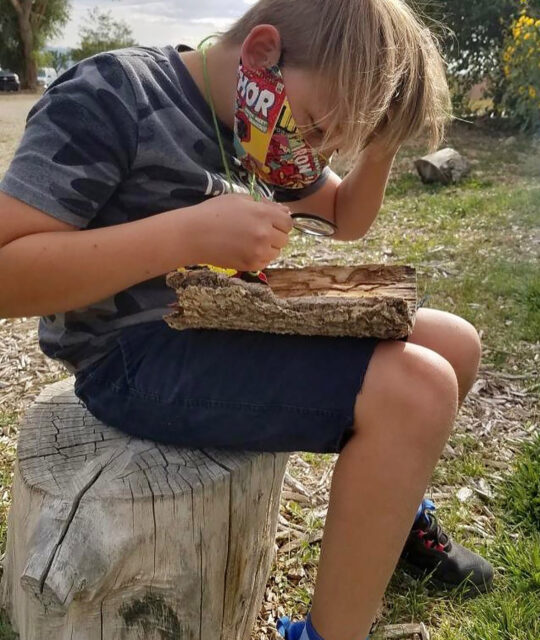 FITaos kids summer camp boy studying forest wood