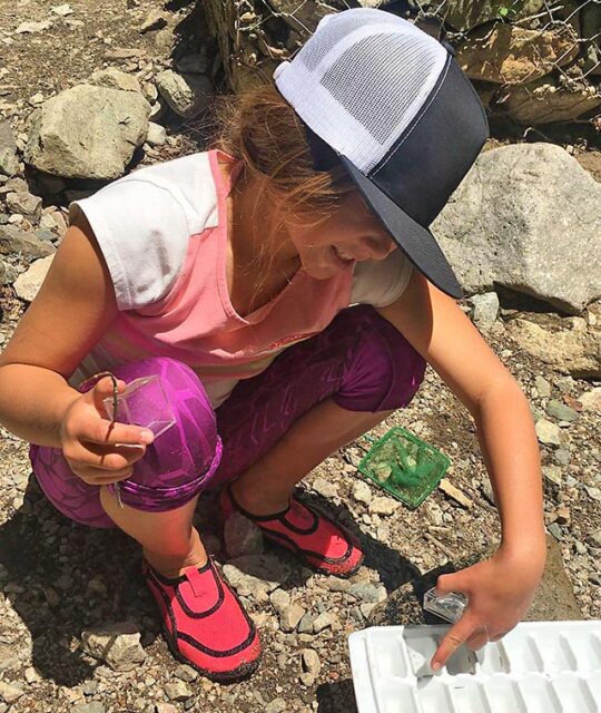 Young girl at a summer camp collecting nature samples.