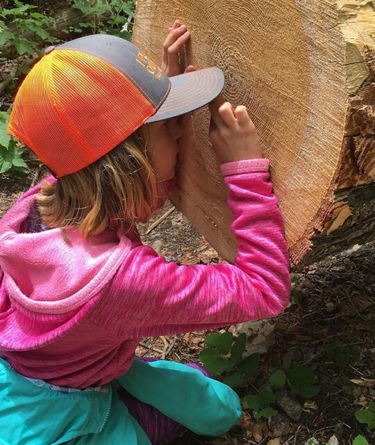 Girl at a Field Institute of Taos summer nature camp counting tree rings.