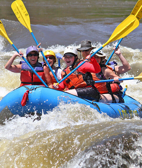 Whitewater rafters with paddles up