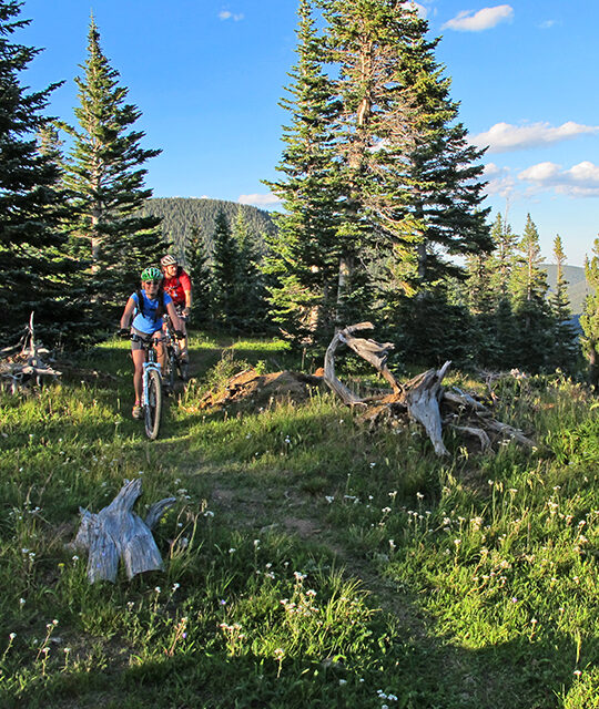 A couple MTB riding on singletrack trail on Northside in Taos Ski Valley