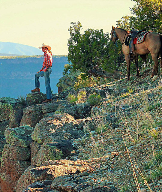 Horseback rider overlooking the Rio Grande Gorge in New Mexico