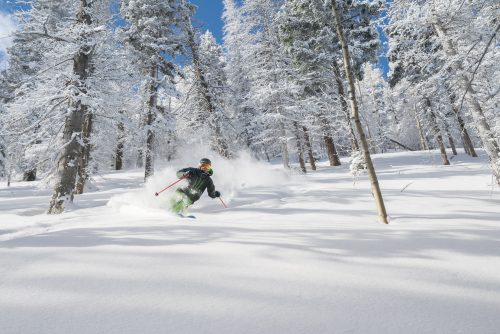 A skier makes turns in the trees and deep powder