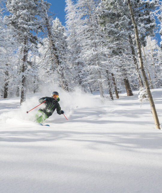 A skier makes turns in the trees and deep powder