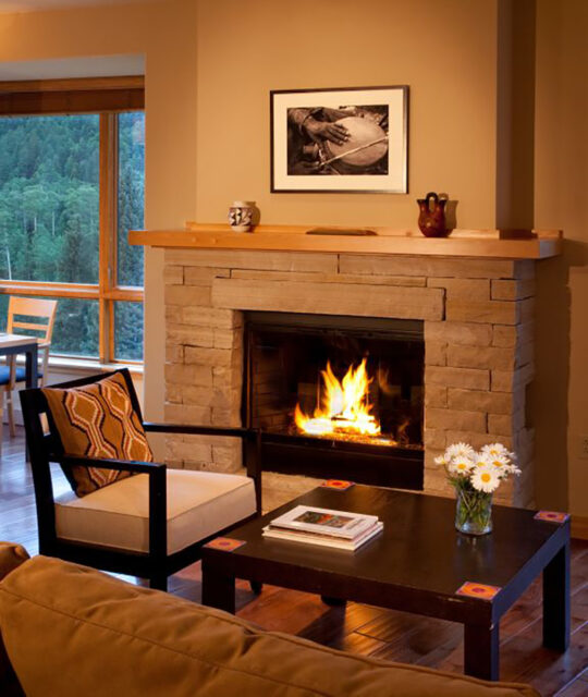 Condo living rom with roaring fire and green summer forest outdoors.