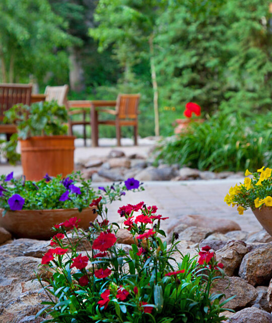 Colorful potted flowers with lush evergreens on the hotel patio.