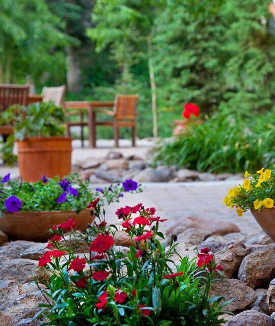 Colorful flower pots with lush evergreens and aspen on a hotel patio.