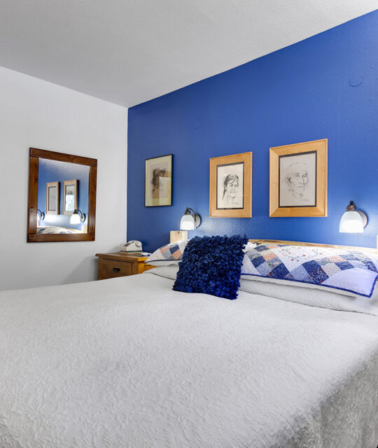 Bedroom and blue accent wall.