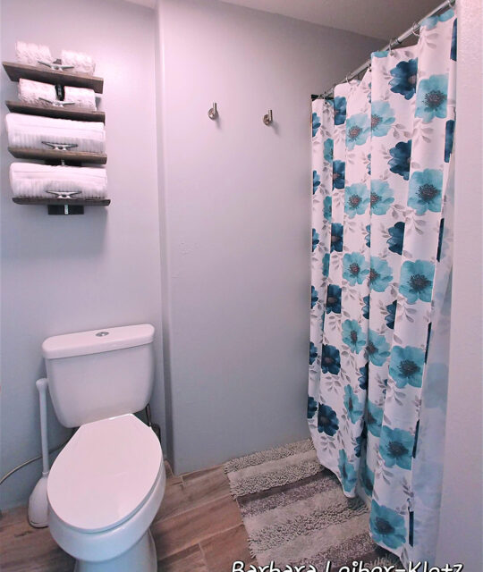 bathroom in a condo