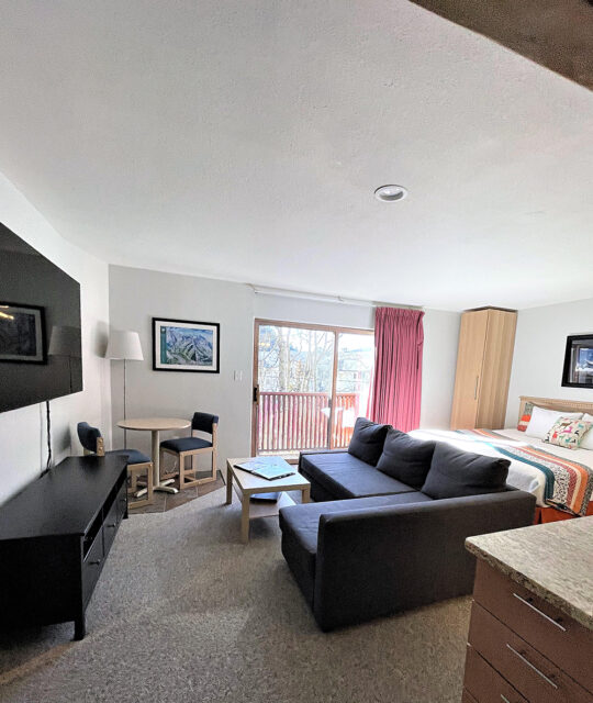 condominium studio in taos ski valley