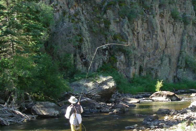 Fly Fishing Trout Fishing Taos Ski Valley