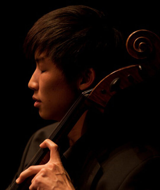 A young chamber musician performing