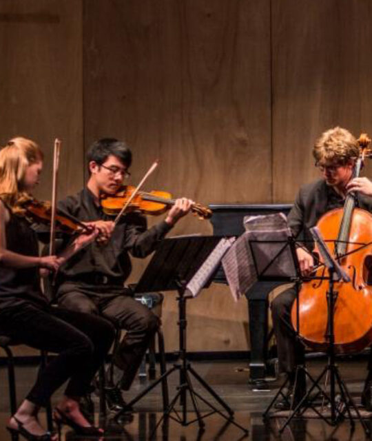 Young chamber musicians in concert