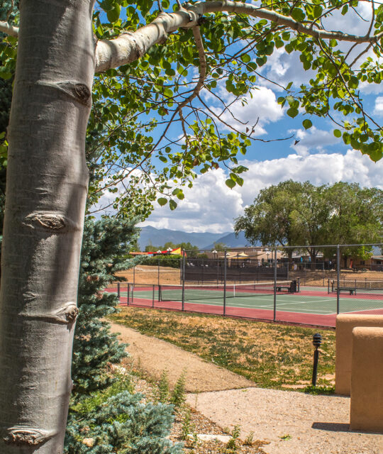 Tennis courts and aspen trees