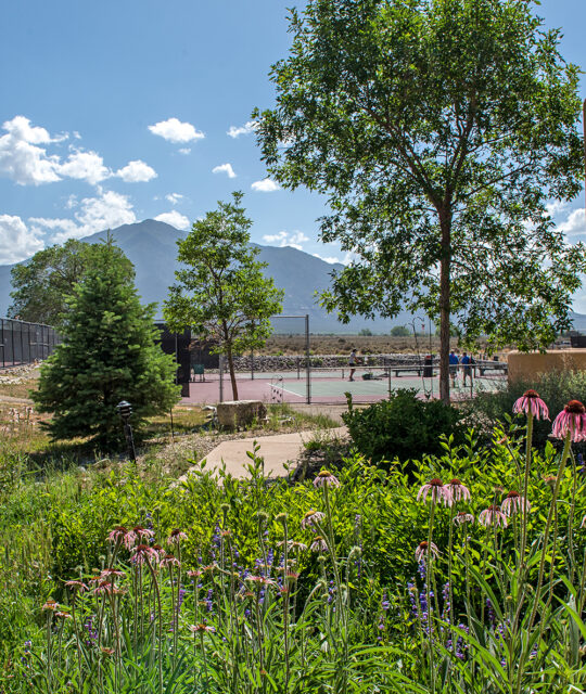Quail Ridge tennis courts with flowers and mountain backdrop