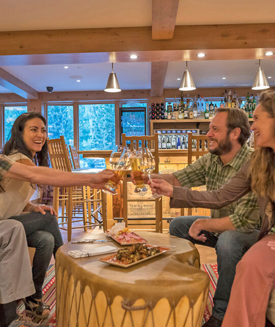 Couples toasting a great day.