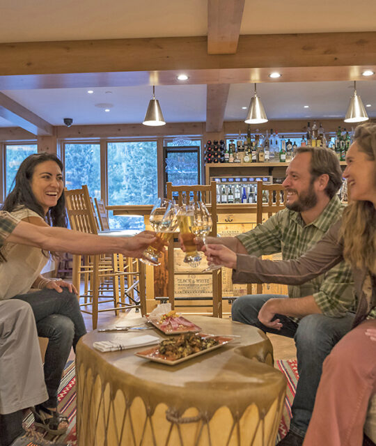 Couples toasting a great day.