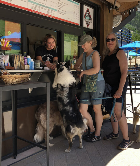Dogs and humans getting a snack at Black Diamond Espresso