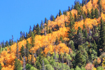 Top Trails for Fall Color