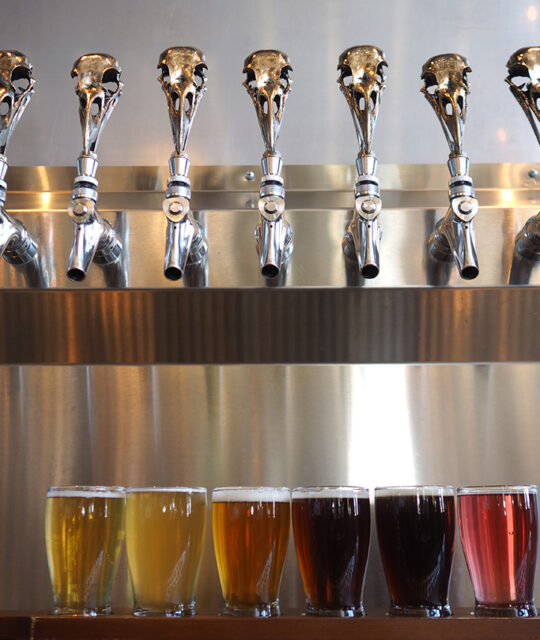 A flight of beers sit below the tap line with metal raven skulls as tap pulls